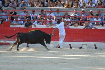 finale de la palme d or - beaucaire- julien sanchez (22)