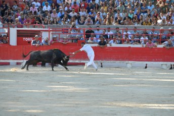 finale de la palme d or - beaucaire- julien sanchez (25)