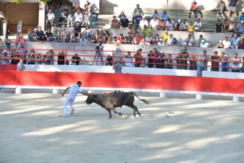 finale de la palme d or - beaucaire- julien sanchez (26)