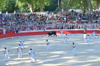finale de la palme d or - beaucaire- julien sanchez (27)