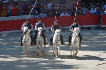 finale de la palme d or - beaucaire- julien sanchez (3)