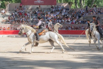 finale de la palme d or - beaucaire- julien sanchez (39)