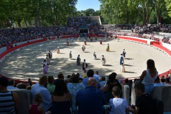finale de la palme d or - beaucaire- julien sanchez (4)