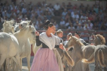 finale de la palme d or - beaucaire- julien sanchez (44)