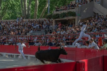 finale de la palme d or - beaucaire- julien sanchez (45)
