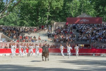 finale de la palme d or - beaucaire- julien sanchez (46)