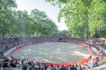 finale de la palme d or - beaucaire- julien sanchez (49)