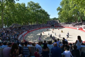 finale de la palme d or - beaucaire- julien sanchez (5)
