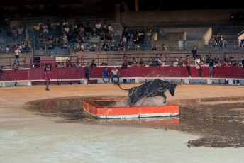 1.toro piscine beaucaire (10)