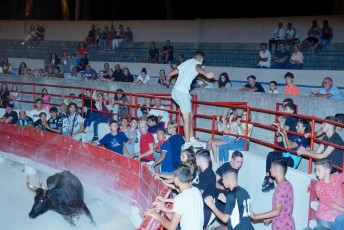 2.toro piscine beaucaire (12)