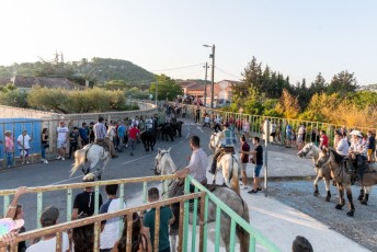 Beaucaire - Fete Garrigues Planes 2019 (110)