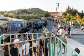 Beaucaire - Fete Garrigues Planes 2019 (111)