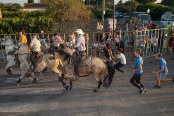 Beaucaire - Fete Garrigues Planes 2019 (112)