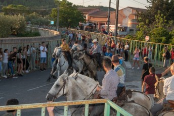 Beaucaire - Fete Garrigues Planes 2019 (115)