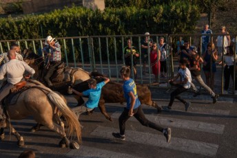 Beaucaire - Fete Garrigues Planes 2019 (116)
