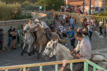 Beaucaire - Fete Garrigues Planes 2019 (117)