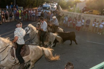Beaucaire - Fete Garrigues Planes 2019 (121)