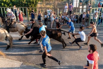 Beaucaire - Fete Garrigues Planes 2019 (123)