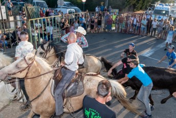 Beaucaire - Fete Garrigues Planes 2019 (124)