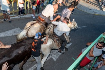 Beaucaire - Fete Garrigues Planes 2019 (129)