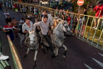Beaucaire - Fete Garrigues Planes 2019 (130)