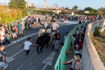 Beaucaire - Fete Garrigues Planes 2019 (131)
