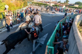 Beaucaire - Fete Garrigues Planes 2019 (132)