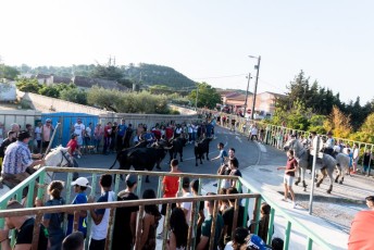 Beaucaire - Fete Garrigues Planes 2019 (137)