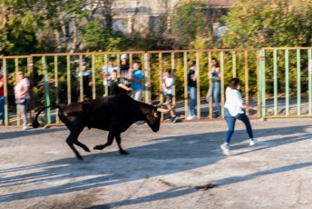 Beaucaire - Fete Garrigues Planes 2019 (140)