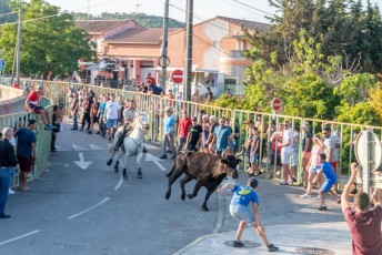 Beaucaire - Fete Garrigues Planes 2019 (141)