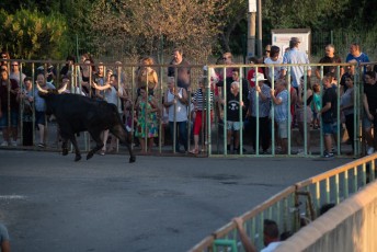 Beaucaire - Fete Garrigues Planes 2019 (145)