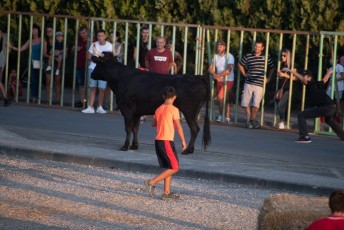 Beaucaire - Fete Garrigues Planes 2019 (146)