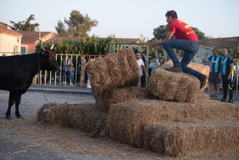 Beaucaire - Fete Garrigues Planes 2019 (151)