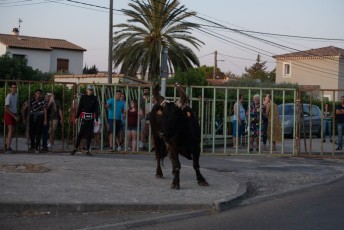 Beaucaire - Fete Garrigues Planes 2019 (152)