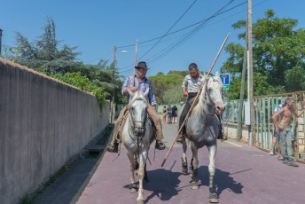 Beaucaire - Fete Garrigues Planes 2019 (21)