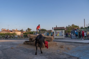 Beaucaire - Fete Garrigues Planes 2019 (215)