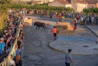 Beaucaire - Fete Garrigues Planes 2019 (217)