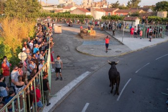 Beaucaire - Fete Garrigues Planes 2019 (218)