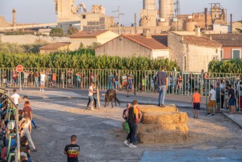 Beaucaire - Fete Garrigues Planes 2019 (219)