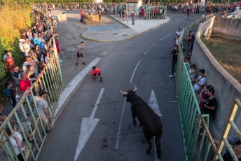 Beaucaire - Fete Garrigues Planes 2019 (220)