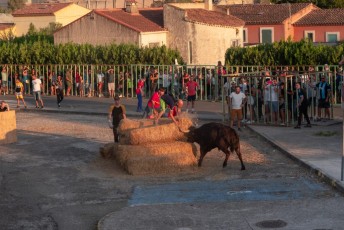 Beaucaire - Fete Garrigues Planes 2019 (222)
