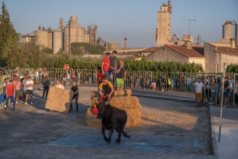 Beaucaire - Fete Garrigues Planes 2019 (223)