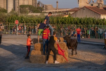 Beaucaire - Fete Garrigues Planes 2019 (224)