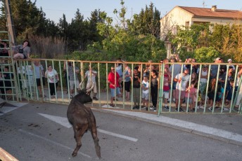 Beaucaire - Fete Garrigues Planes 2019 (225)