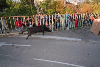 Beaucaire - Fete Garrigues Planes 2019 (226)