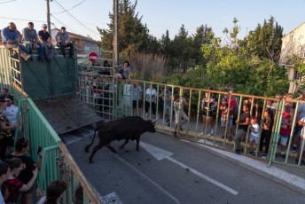 Beaucaire - Fete Garrigues Planes 2019 (227)