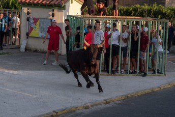 Beaucaire - Fete Garrigues Planes 2019 (228)