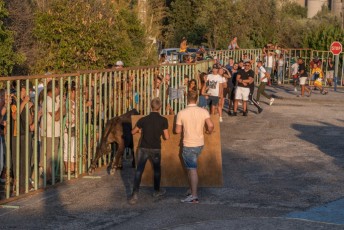 Beaucaire - Fete Garrigues Planes 2019 (229)