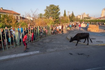 Beaucaire - Fete Garrigues Planes 2019 (230)