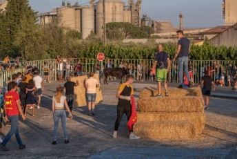 Beaucaire - Fete Garrigues Planes 2019 (232)